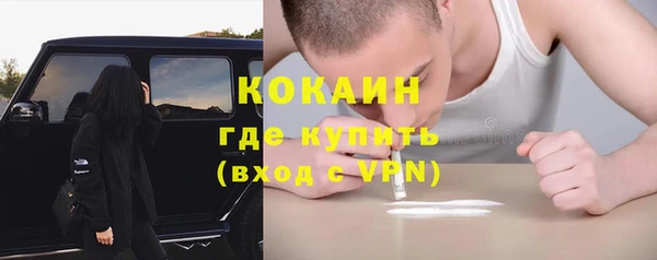 мет Дмитров