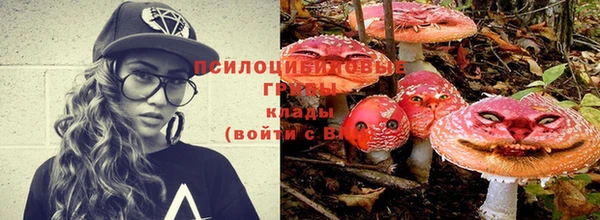мет Дмитров