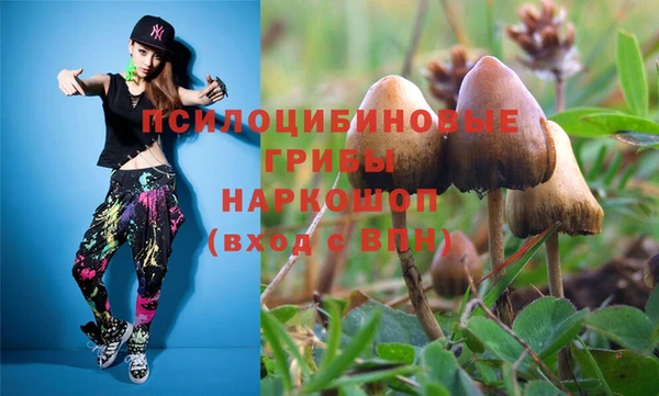 марки nbome Дмитровск